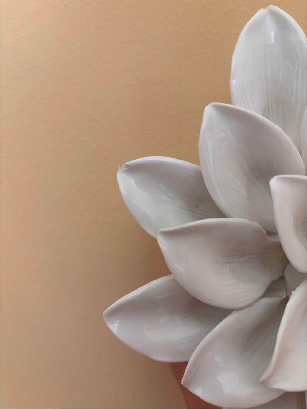 Vintage Opalhouse Cream Porcelain Carnation Flower Wall Decor - Picture 4 of 4